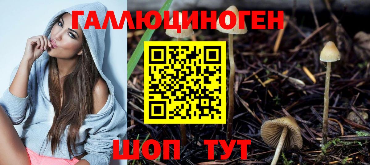 Коркино  Галлюциногенные грибы прущие грибы  купить   Вход с VPN  Галлюциногенные грибы Psilocybe 