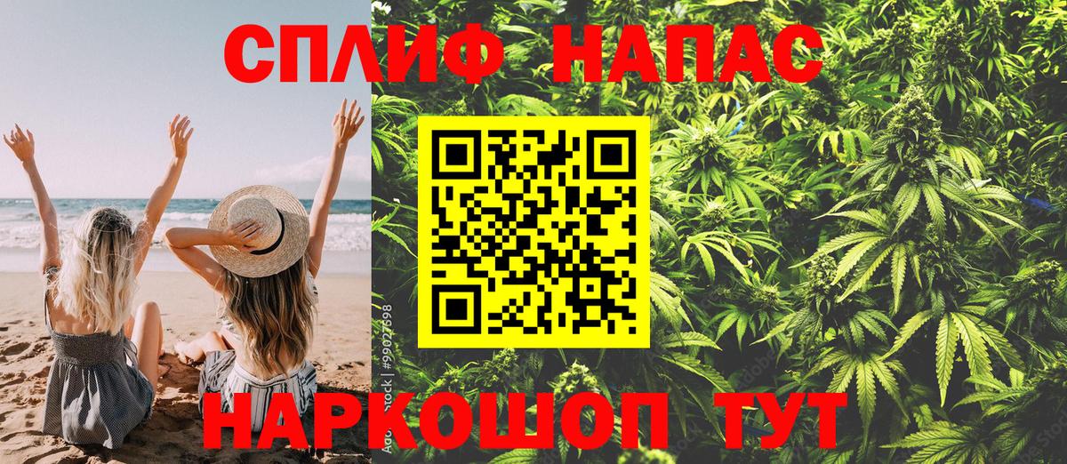 Марихуана планчик  Вход с VPN  Коркино  Бошки марихуана OG Kush  Бошки марихуана планчик  Каннабис сатива 